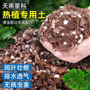 天南星科营养土热植通用蔓绿绒海芋花烛盆栽泥炭颗粒龟背竹专用土
