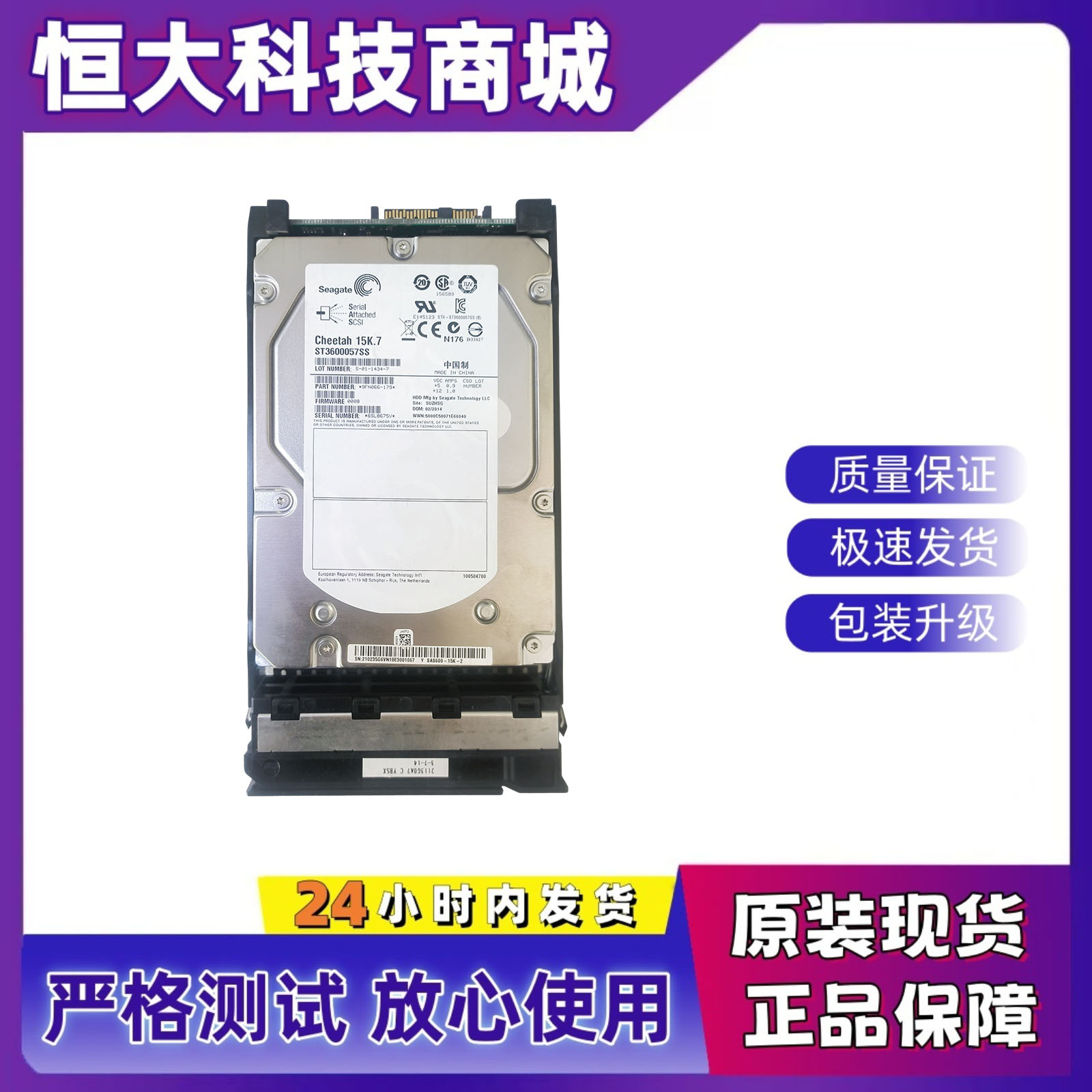 希捷ST3600057SS9FN066-008