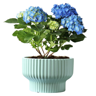 花盆陶瓷特大亚光新款竖纹高脚阳台客厅摆件绿植绿萝蝴蝶兰花盆栽