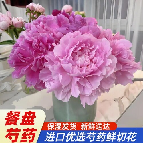 51福利 餐盘 重瓣芍药鲜花