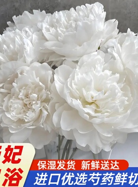 618福利  杨妃出浴  无暇玉  三点红  白色系随机发