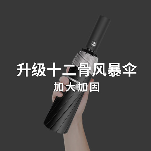 12骨全自动两用结实加固简约雨伞