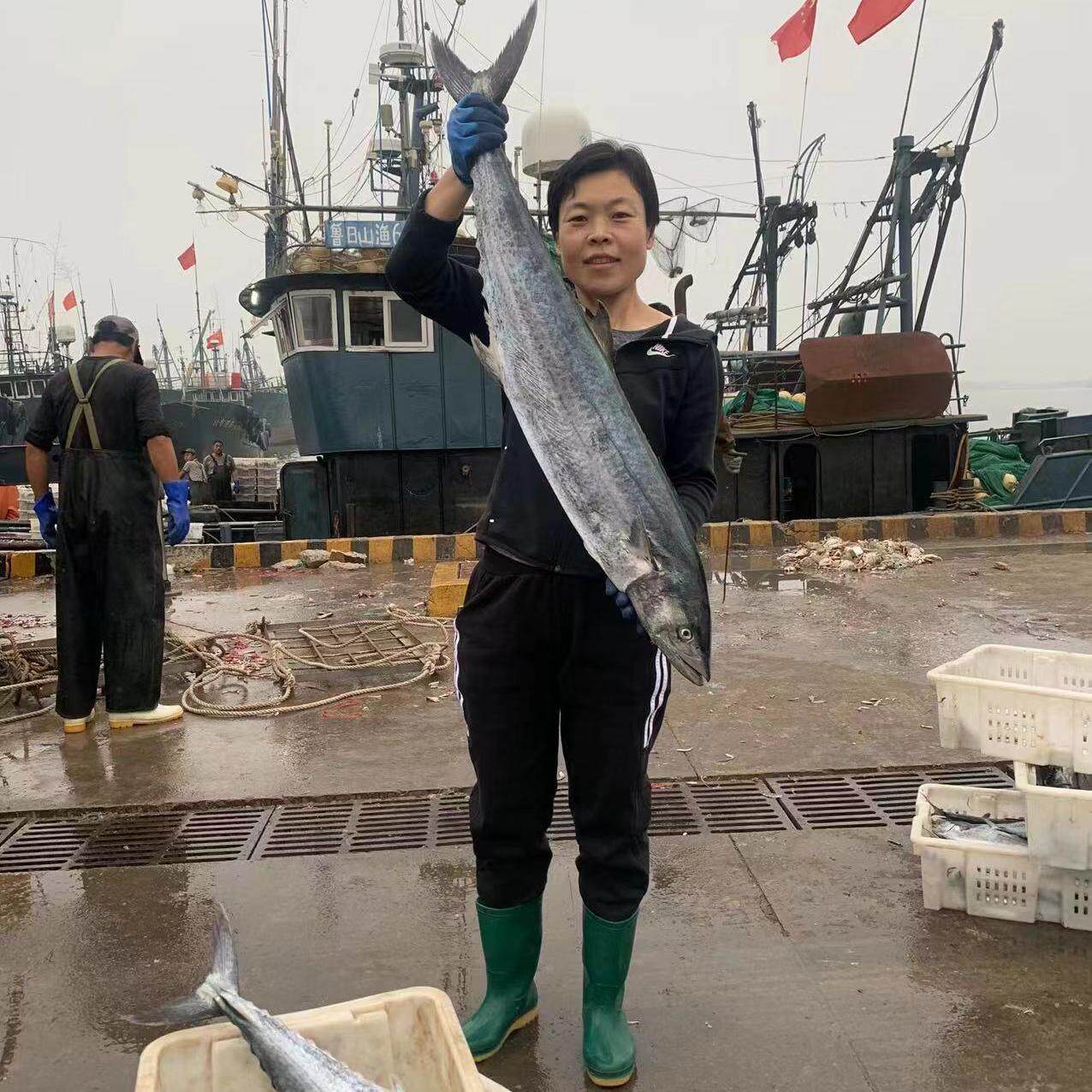 大鲅鱼马鲛鱼燕尾鲅蓝点马鲛红烧鱼丸鲅鱼饺子深海鱼宝宝辅食