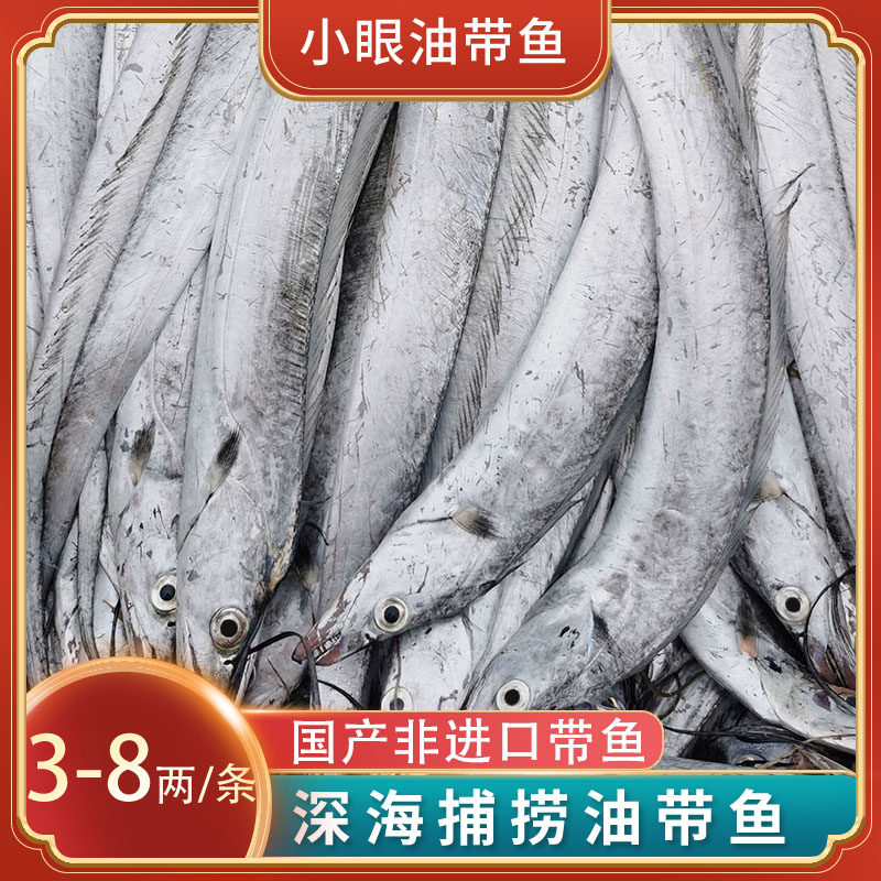带鱼新鲜冷冻整条小眼油带鱼精选带鱼半斤左右大带鱼山东刀鱼,水产肉类/新鲜蔬果/熟食,带鱼,淘宝优惠券,粉丝福利购,淘宝优惠卷