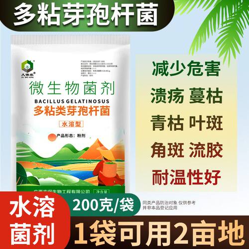 多粘芽孢杆菌生物菌软腐叶斑姜瘟