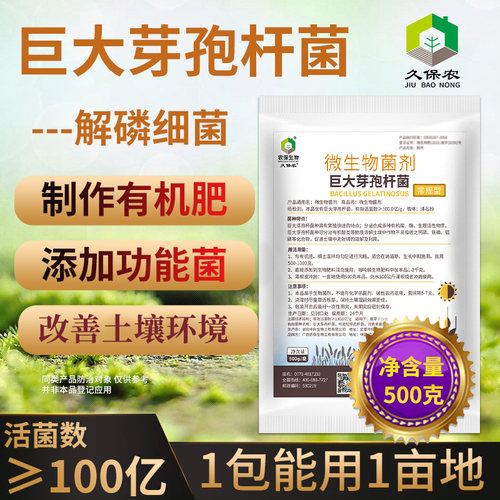 巨大芽孢杆菌改良土壤磷钾种植