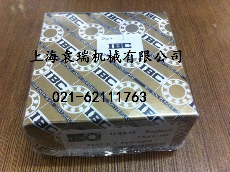 滚珠丝杠BS100M215/47.P4A.DBM轴承BS100M215/47P2HUM轴承