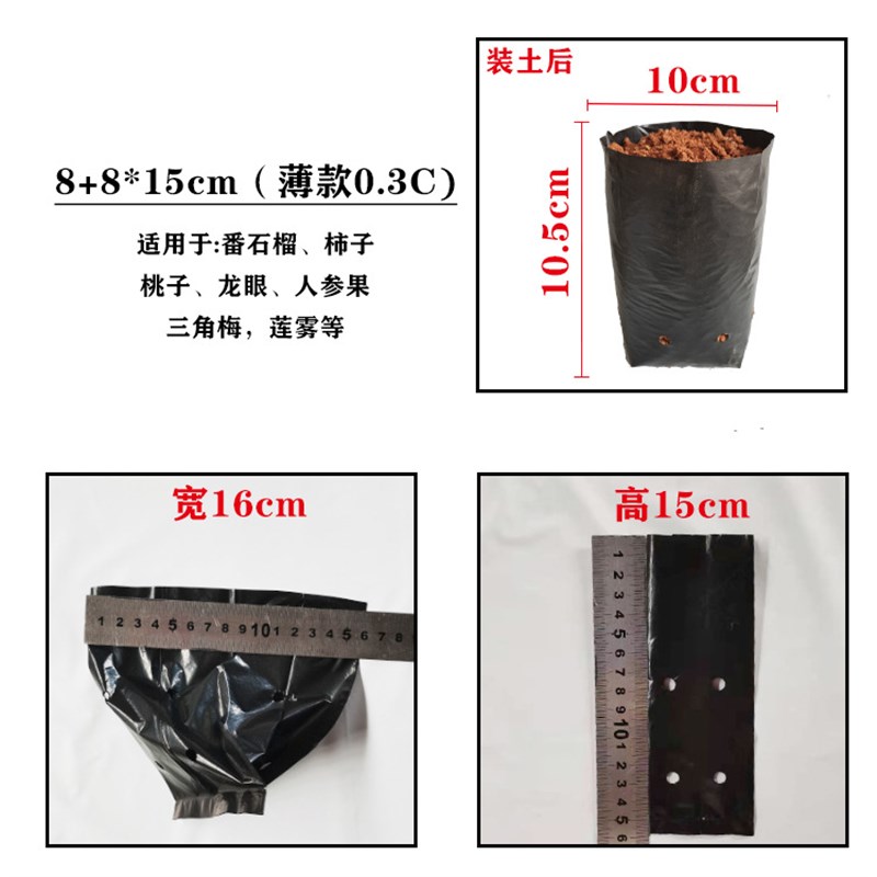 百香果苗桉树苗营养包白色黑色塑料育苗袋无纺布育苗袋营养袋