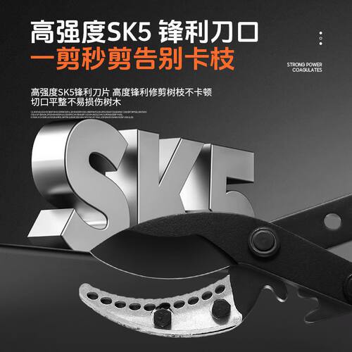 粗枝剪大力伸缩绿化园林修枝剪刀果树修枝剪加长SK5园林剪果枝剪