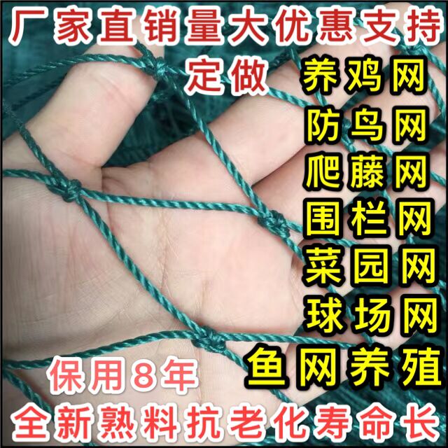 隔离网围栏网养鸡网防护网尼龙网安全网塑料网拦鸡网果园菜园围网