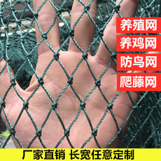 Спортивная сеть/периметр 养殖拦鸡网围栏网养鸡网隔离网塑料网围网安全网户外防护网尼龙网