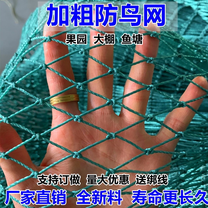 拦鸡网塑料网尼龙网隔离网围栏网养鸡网安全网防护网菜园防鸡户外