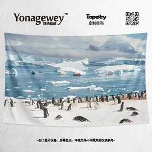 简约南极洲无人区企鹅地球地理周边卧室装饰背景墙布海报挂布挂毯
