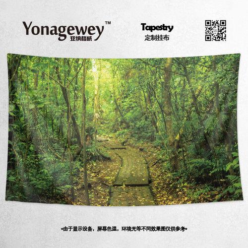 挂布蒙特沃德云雾森林创意露营