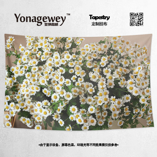 非洲菊扶郎花背景布海报挂布挂毯