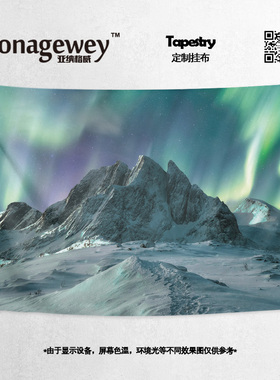 绚丽极光星空夜空南极北极小众工作室装饰画背景墙布海报挂布挂毯