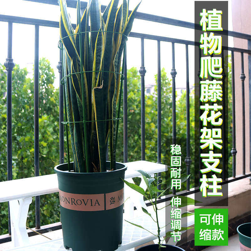 爬藤架园艺用品蔷薇爬花盆支架固定支架植物花藤工具花架花架藤蔓