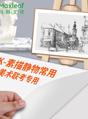 玛丽素描纸加厚160克纸8K绘画纸