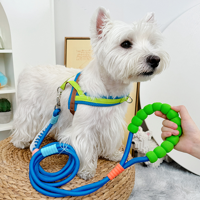 狗狗猫无束缚不勒脖胸背牵引绳