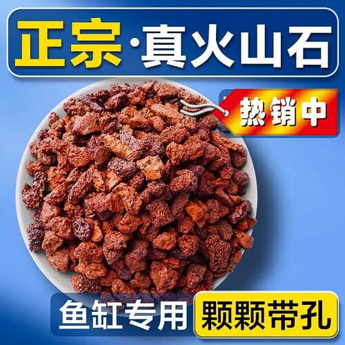多肉铺面石颗粒火山石鱼缸专用底砂天然滤材精品火山石造景加大号