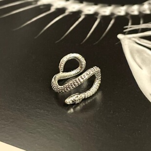 Vintage古着 Serpent keeps pact耳饰