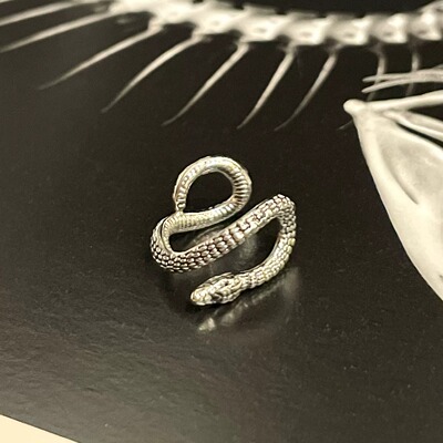Vintage古着 Serpent keeps pact耳饰