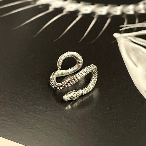Vintage古着 Serpent keeps pact耳饰