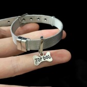 The Diary 手工 Dog手环