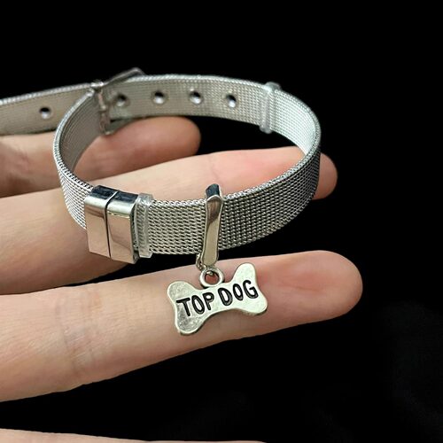 手工 The Diary of a Dog手环