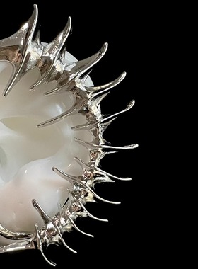 Vintage古着 Silver thorn keel耳挂