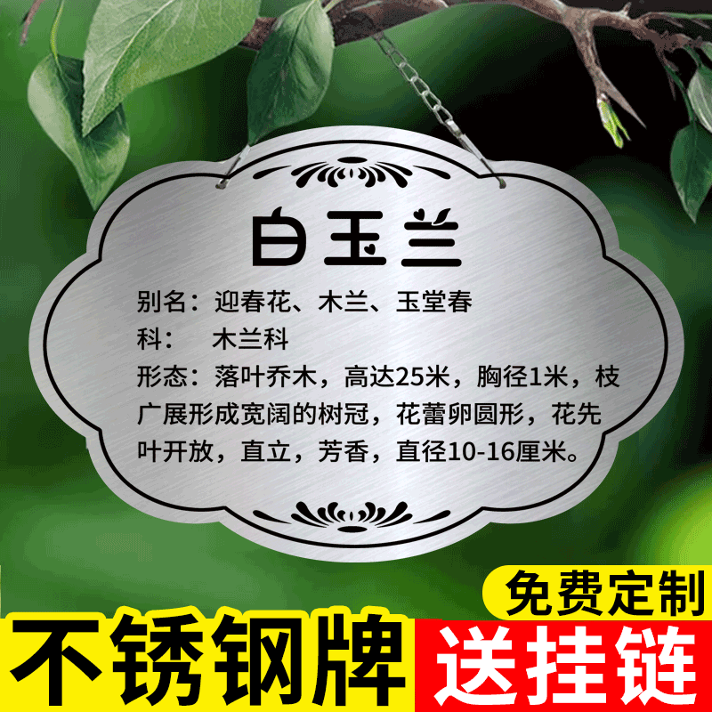 树牌挂牌树木标识牌定制