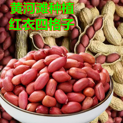 红衣四格子花生黄河滩涂新货包邮