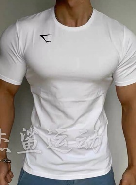 现货英国GYMSHARK Essential男士运动健身休闲弹性棉质修身短袖A8