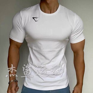 现货英国GYMSHARK Essential男士运动健身休闲弹性棉质修身短袖A8