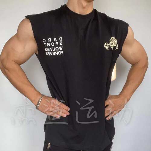 现货折扣DARC限量狼头夏季男运动健身休闲宽松圆领棉质背心砍袖J2