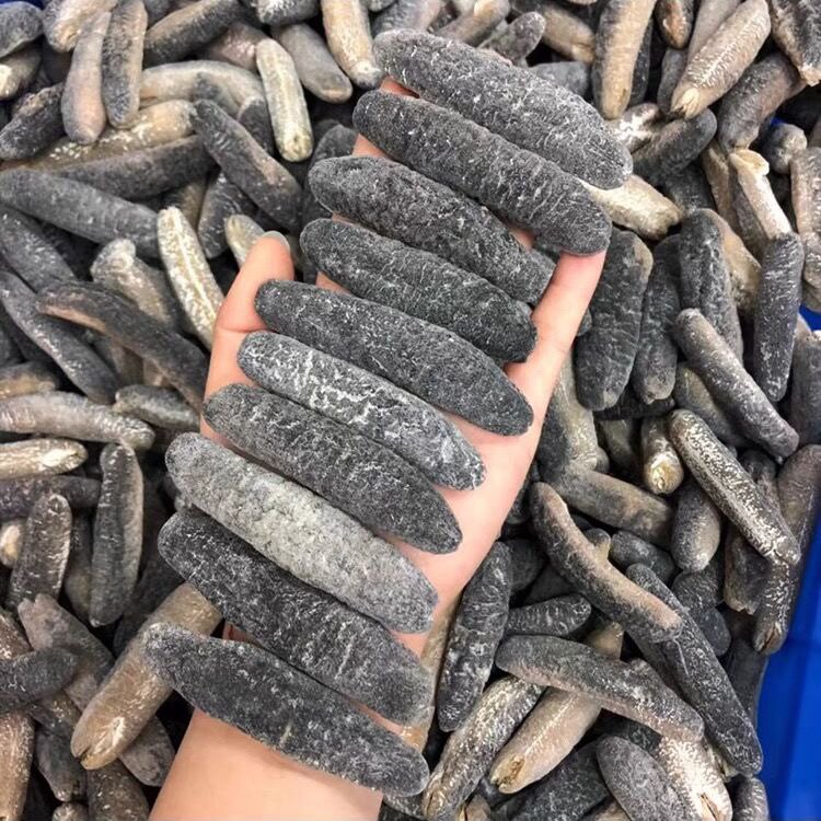 深海澳洲明秃海参，纯淡干沙秃参500g包邮