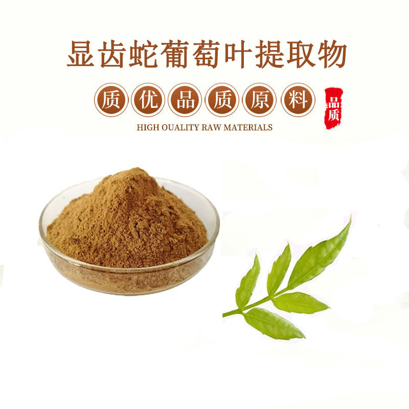 显齿蛇葡萄叶提取物30:1 显齿蛇葡萄叶粉浸膏浓缩粉末  送量勺