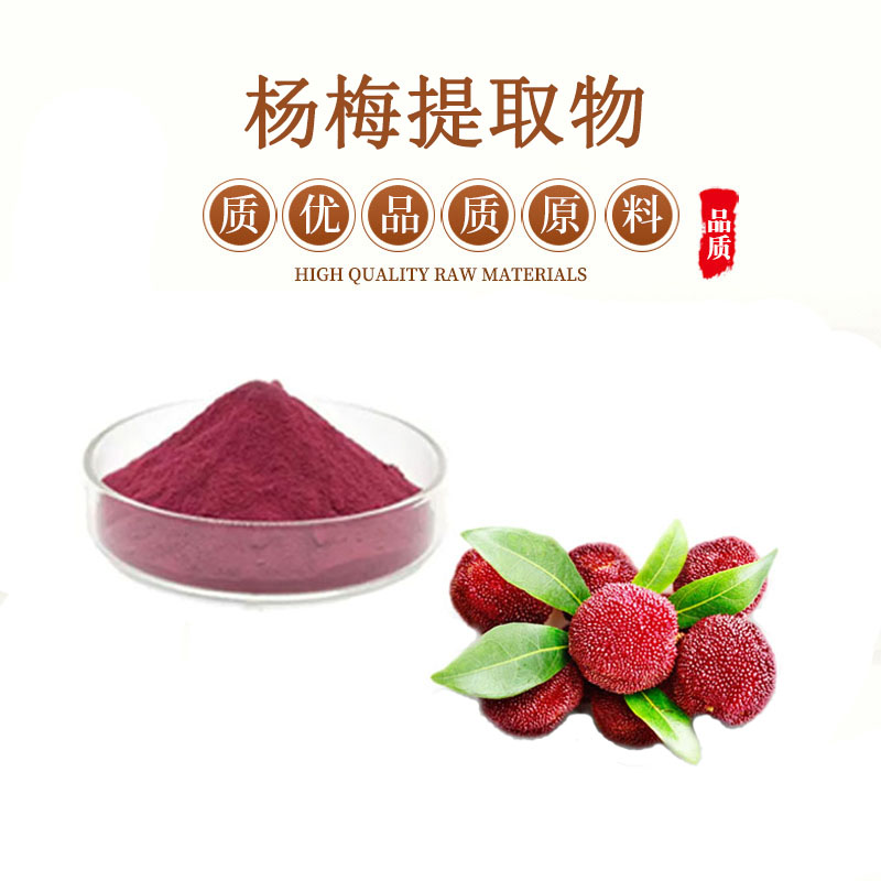 梅提取物粉 杨梅果汁粉 喷雾干燥水溶杨梅粉 送量勺
