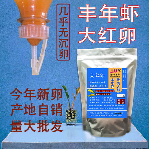 丰年虾卵可孵化鱼苗开口大红卵