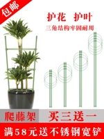 Защитные листья