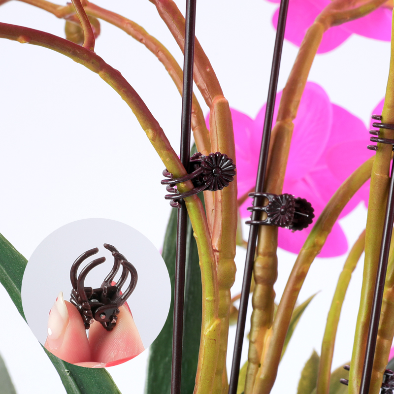 蝴蝶兰花支撑杆家用户外绿植爬藤花卉固定夹子铁线莲植物造型架在类目 鲜花速递/花卉仿真/绿植园艺, 园艺用品, 其它园艺用品中 - 来自Buy2taobao.com提供专业的淘宝代购服务