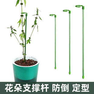 植物支撑花架蝴蝶兰吊兰支架盆栽绿植固定仿倒伏护叶架花卉扶持架