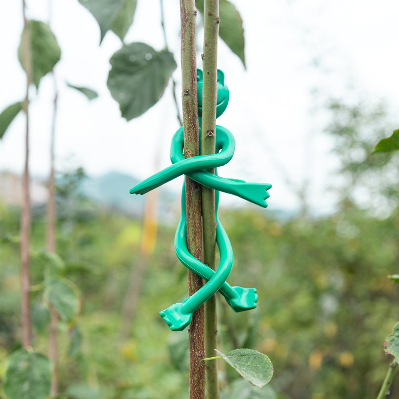 园艺扎带青蛙卡通造型多功能绑扎带月季花固定扣爬藤植物捆绑扎线,鲜花速递/花卉仿真/绿植园艺,其它园艺用品,淘宝优惠券,粉丝福利购,淘宝优惠卷