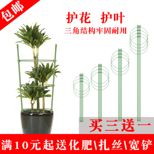 护叶架植物花卉固定支架爬架花架月季 绿萝花盆支架室内绿植爬藤架