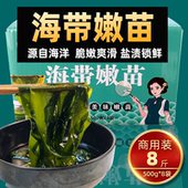 海带嫩苗商用海藻苗盐渍海带嫩芽8斤凉菜火锅冒菜麻辣烫卤菜食材