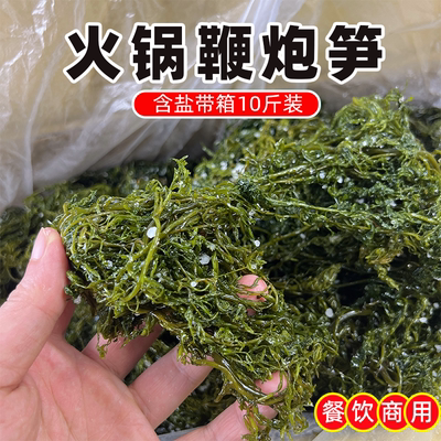 鞭炮笋商用海藻海草10斤火锅食材