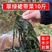 盐渍裙带菜非纯干货10斤海带嫩苗海白菜海藻餐饮商用火锅凉拌食材