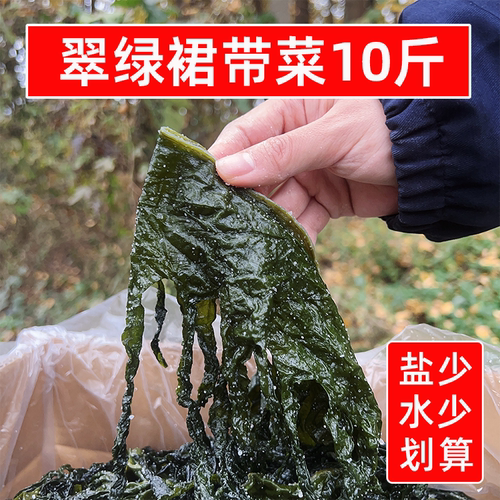 盐渍裙带菜非纯干货10斤海带嫩苗海白菜海藻餐饮商用火锅凉拌食材