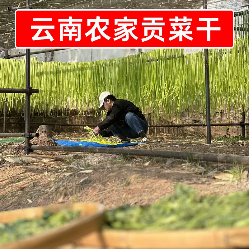 识蜀记云南大理农家晒干贡菜1斤