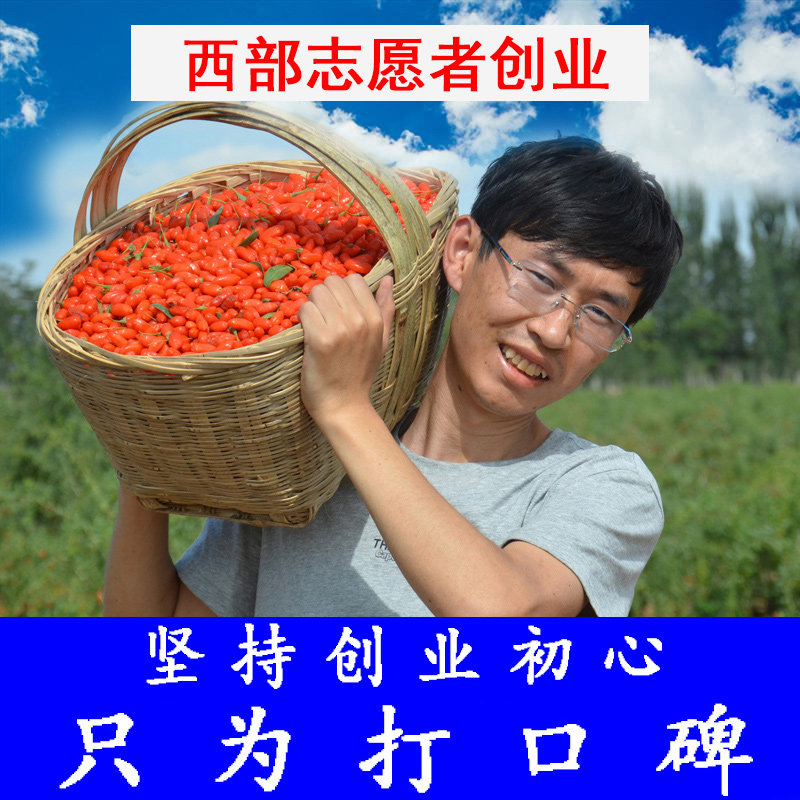 正宗宁夏原生态红枸杞子大颗粒头茬特级中宁免洗泡酒茶干男肾500g